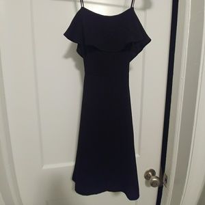 NWOT Fit and Flare Flounce Dress